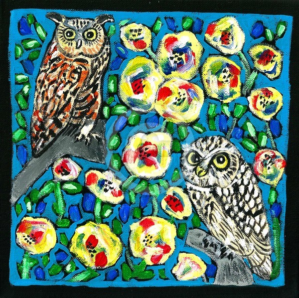 Owlies