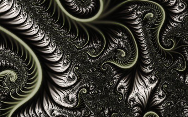 Neural Network