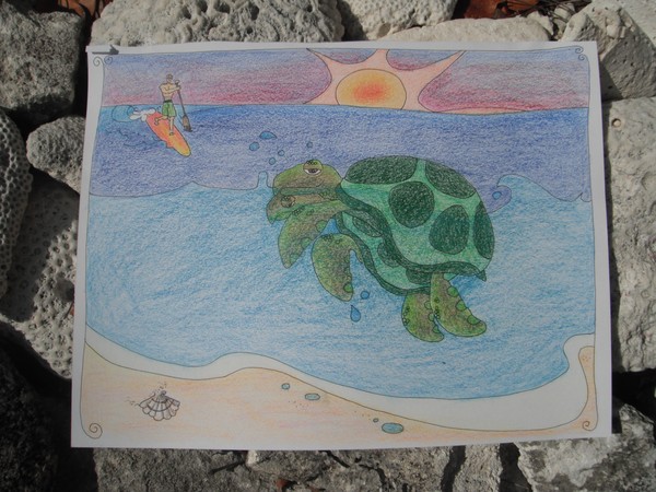 Turtle Love