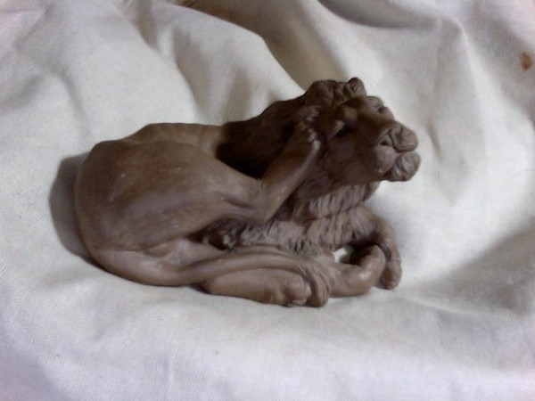 Scratching Lion