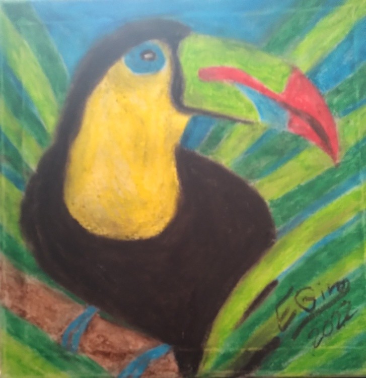 Tropical Toucan