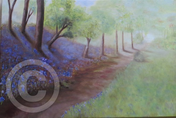 Bluebells Mount Edgecumbe