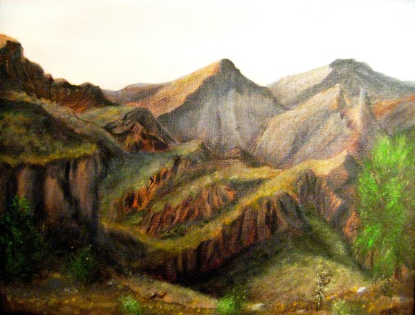 Springtime at Bull Dog Canyon