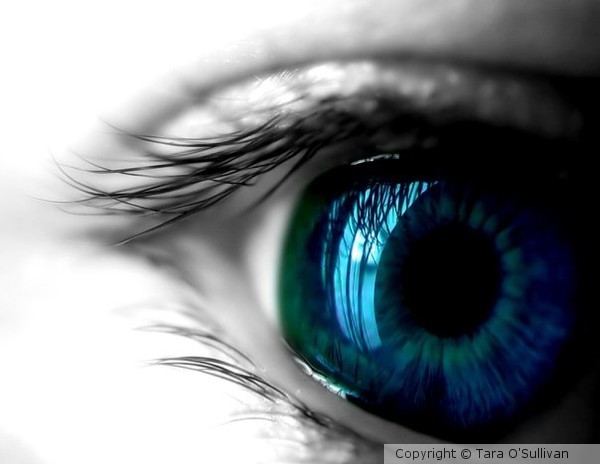 Eye