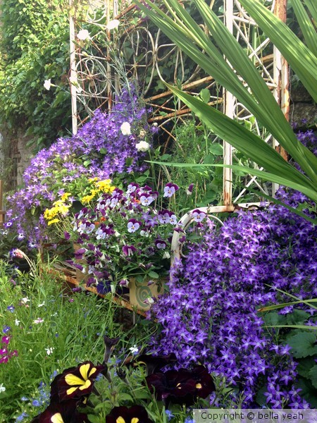 a garden bench...