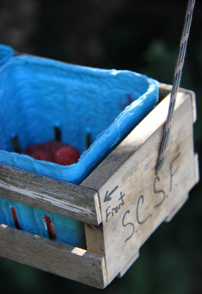 Raspberry Picking