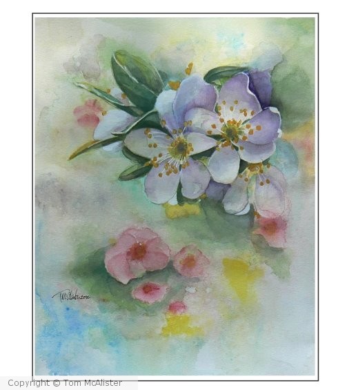 Spring Flowers