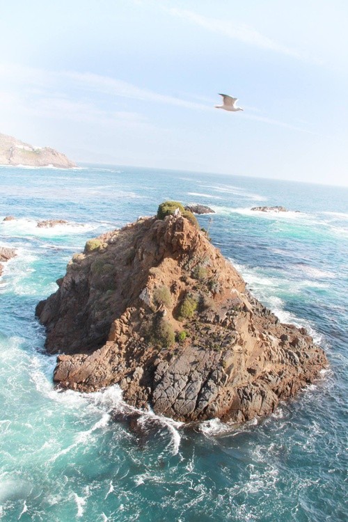 Karen Muro ensenada