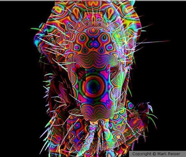 Space Tardigrade