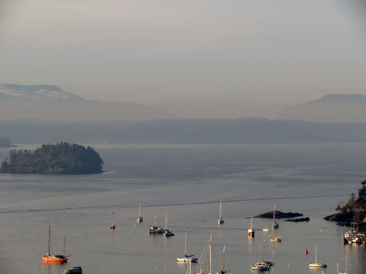 The bay
