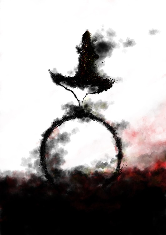 17 roue