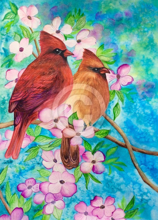 Cardinals