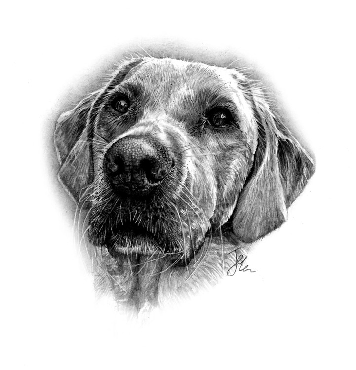 Buddy