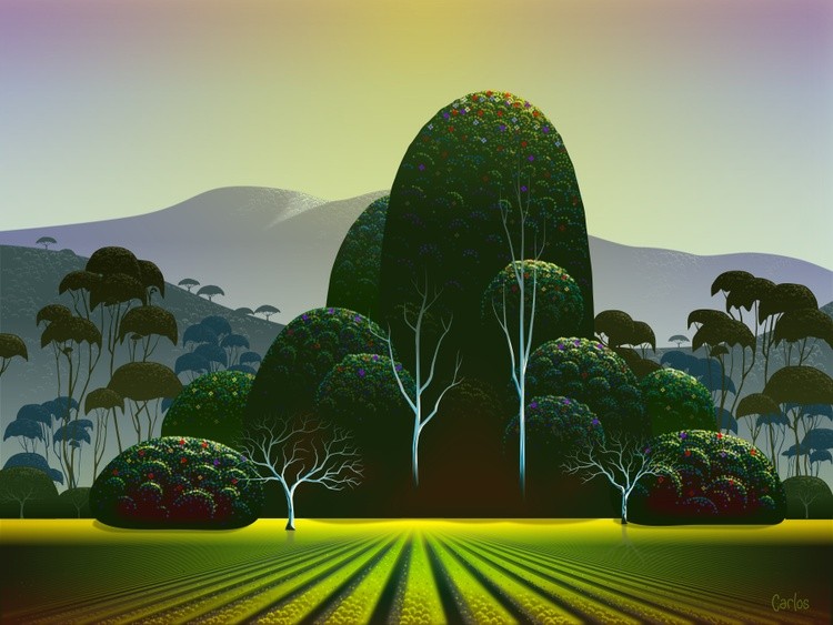 Napa Vineyard