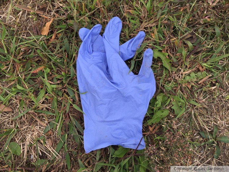 Discarded medical glove