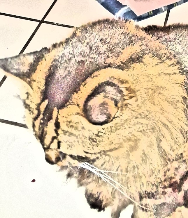 pencil_sketch_1516729477578.jpg