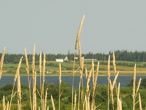 Across the bay again