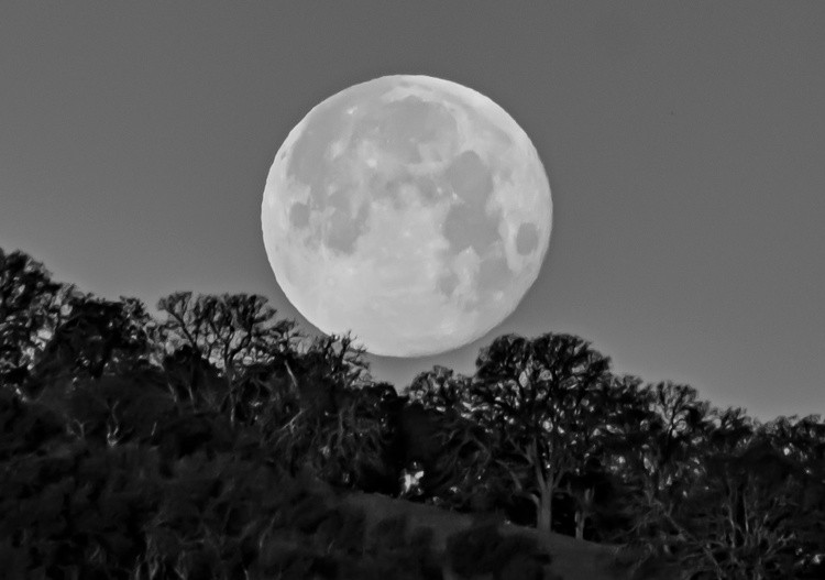 Snow Moon - February 2 2026