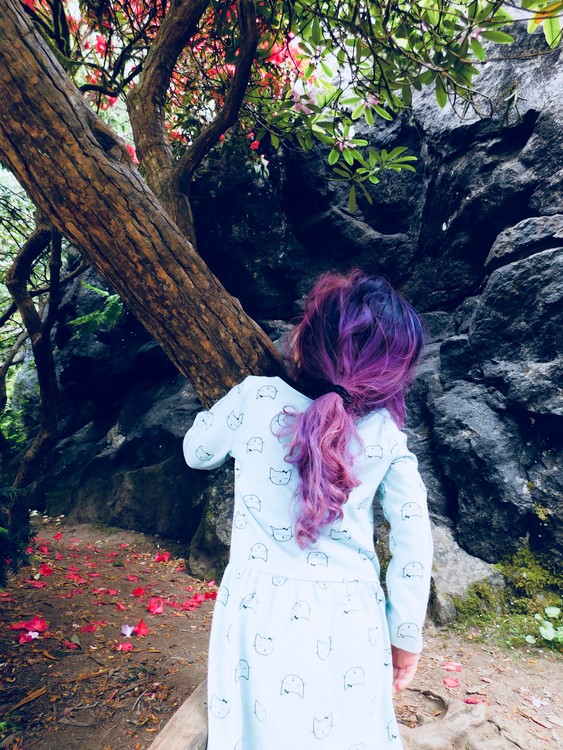 where the fairies are