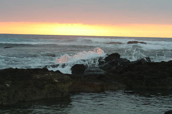 dancing ocean sunlight