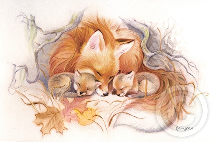 FoxDenSnug