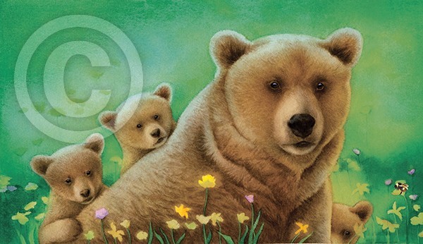 One Shy Bear