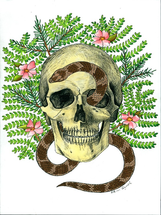 Fern Skully