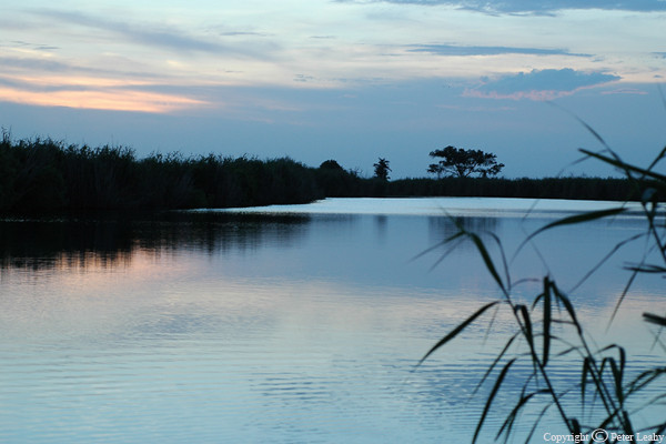 Pastel Sunset