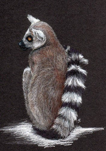Lemur