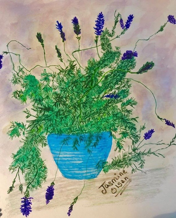 My Texan lavender