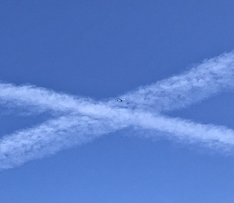 X Marks the Spot...
