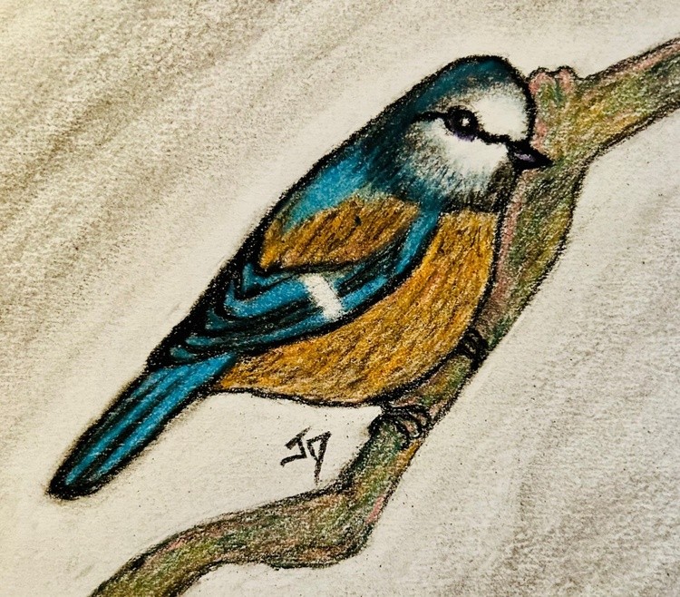 Pastel Bird