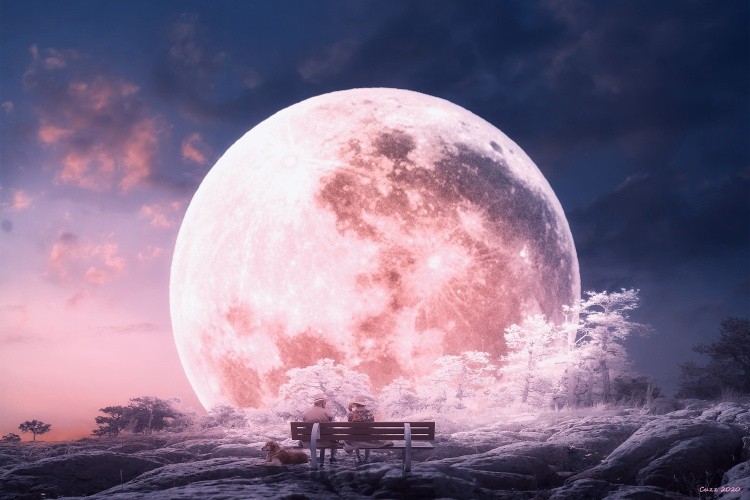 looking at the moon