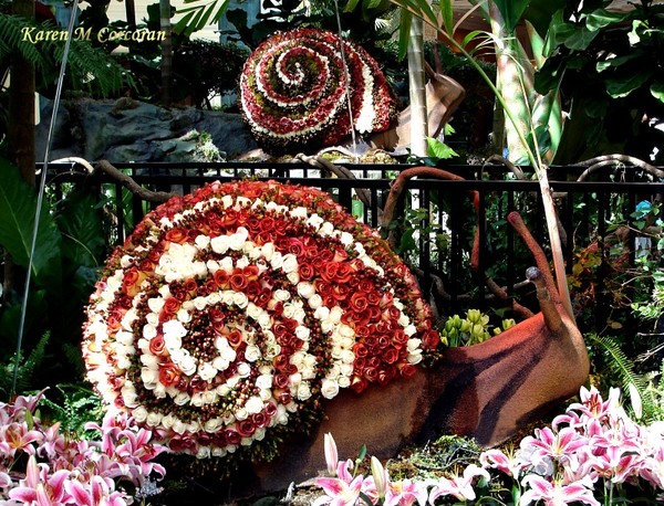 Bellagio Snails