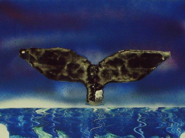 Whale Tail 2-67