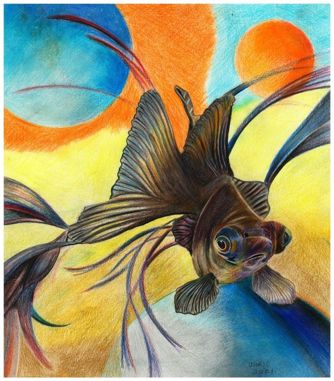 Goldfish