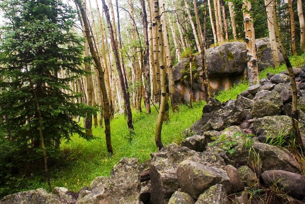 The Rock Pile