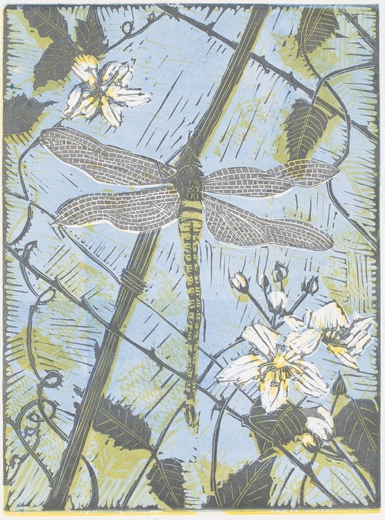 Dragonfly-on-Bramble-Danielle-Stretch