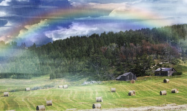 Rainbow Over the Hill