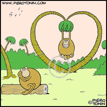 Monkey love