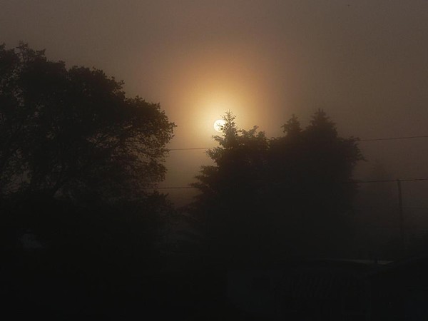 Foggy Morning
