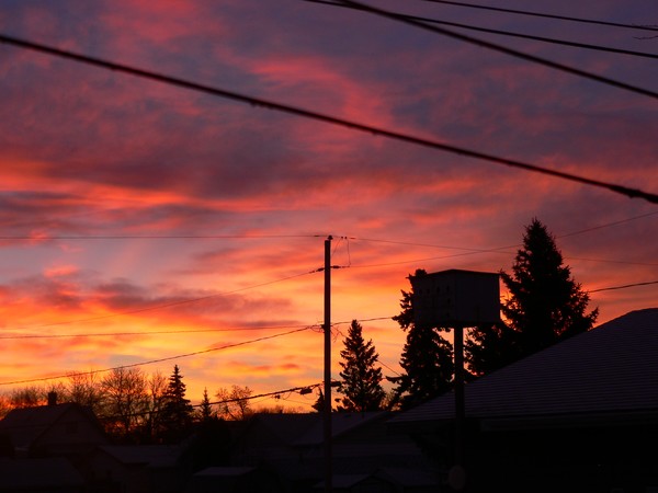 November Sunrise