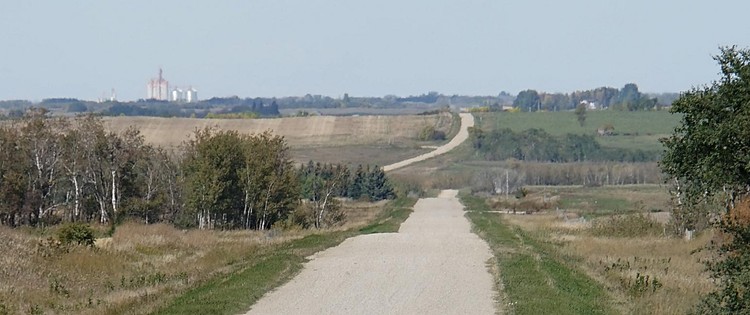 Long View