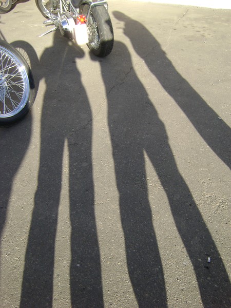 After Dark Shadows