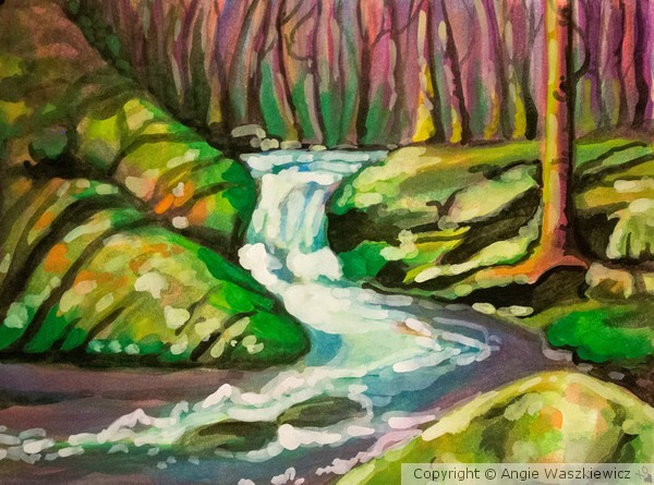 Pisgah National Forest, Appalachian Mountains