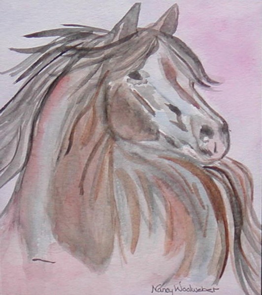 Mustang