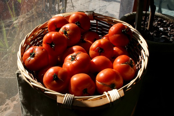 Tomatoes