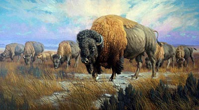 Shaggy Beasts