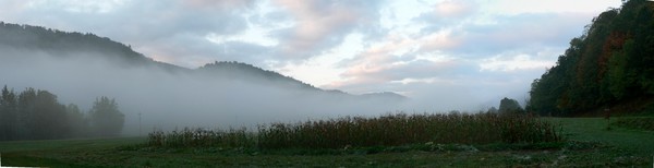 Mountain Grove