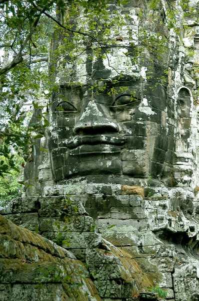 Ta Prahm II